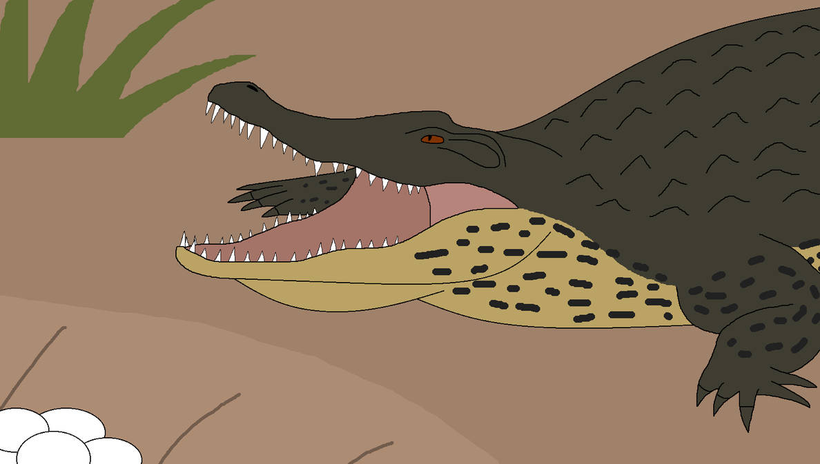 Brooding the Rare Generation by WildandNatureFan on DeviantArt