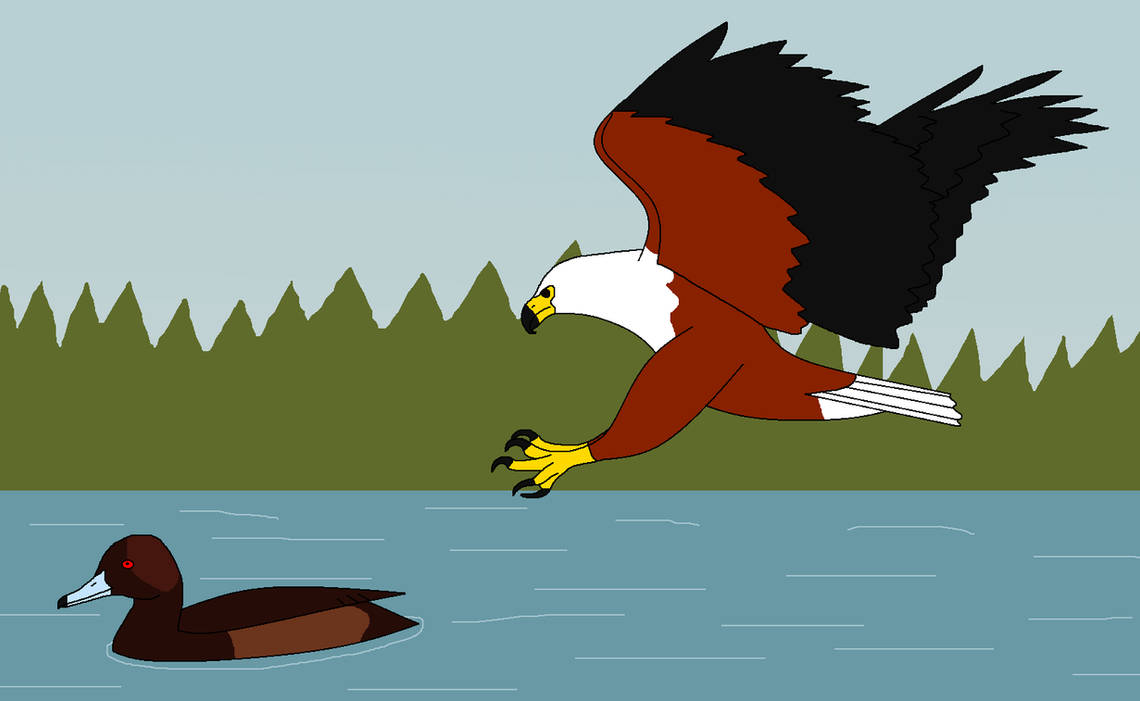 Duck Riding Deviantart Ducking for Cover by WildandNatureFan on DeviantArt