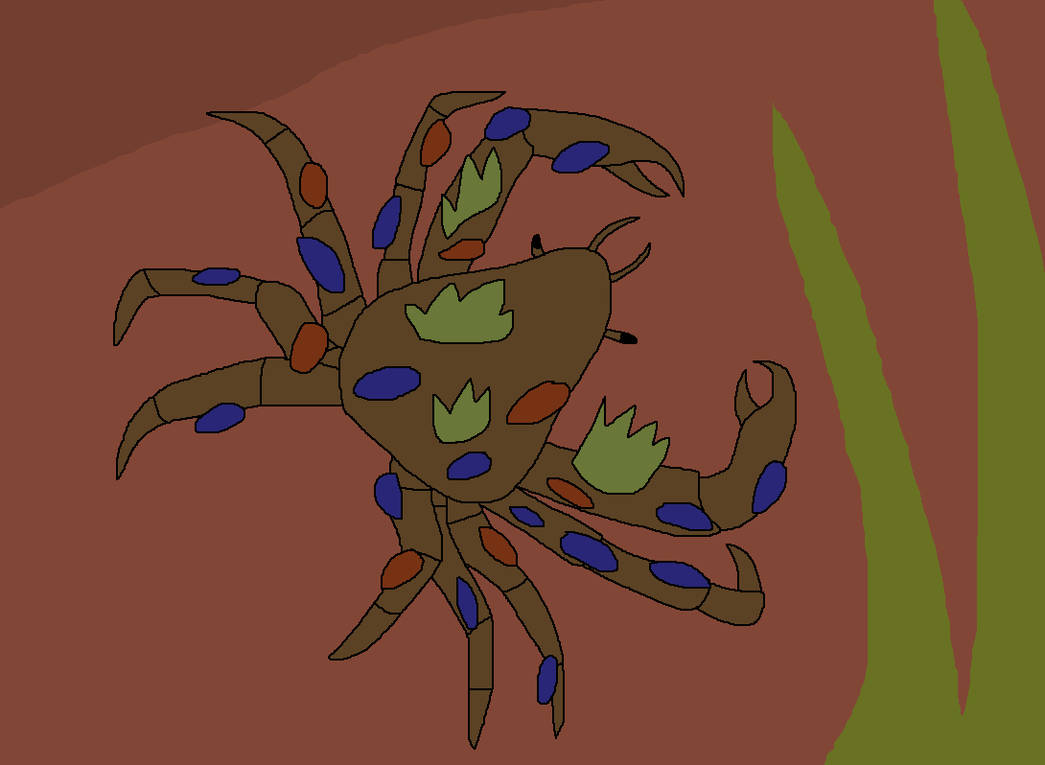 Shell Decorating by WildandNatureFan on DeviantArt