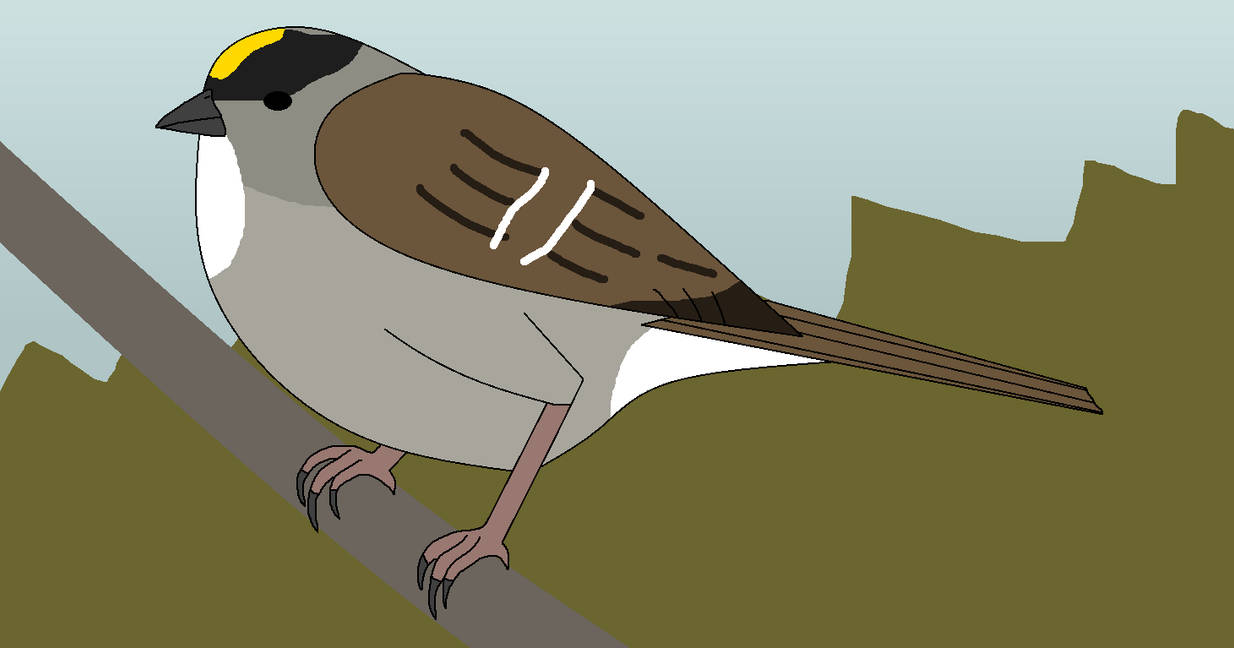 Crown Tweets by WildandNatureFan on DeviantArt