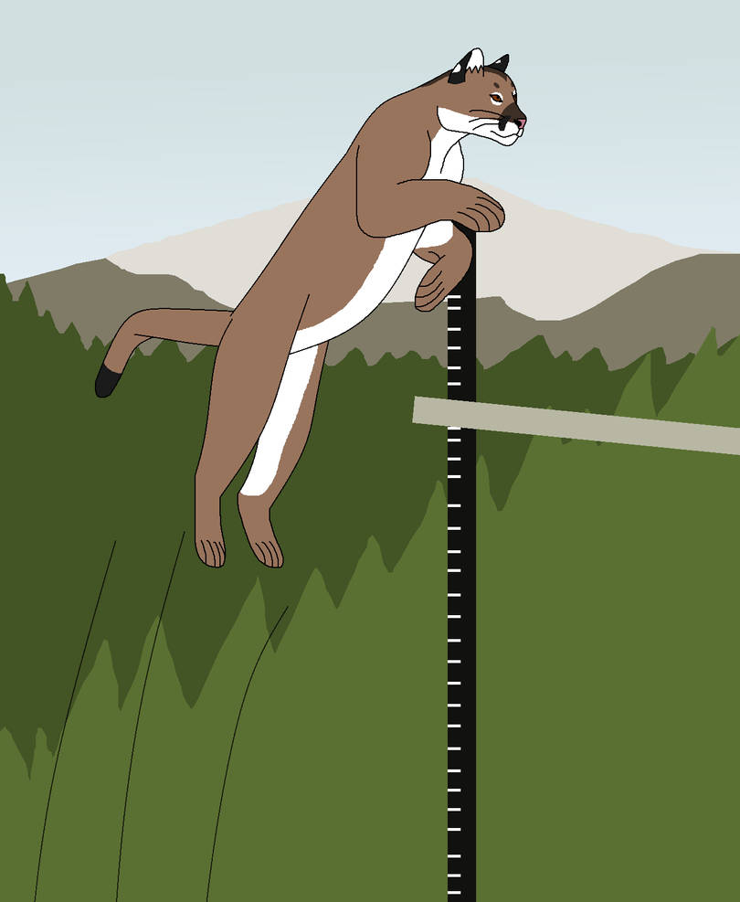 Deviantart Animal Jumping Vertical Jump by WildandNatureFan on DeviantArt