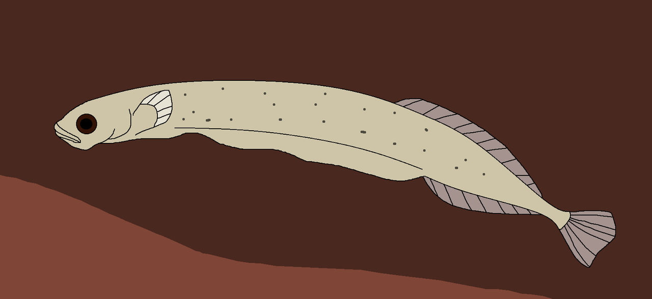 Finny Infant by WildandNatureFan on DeviantArt