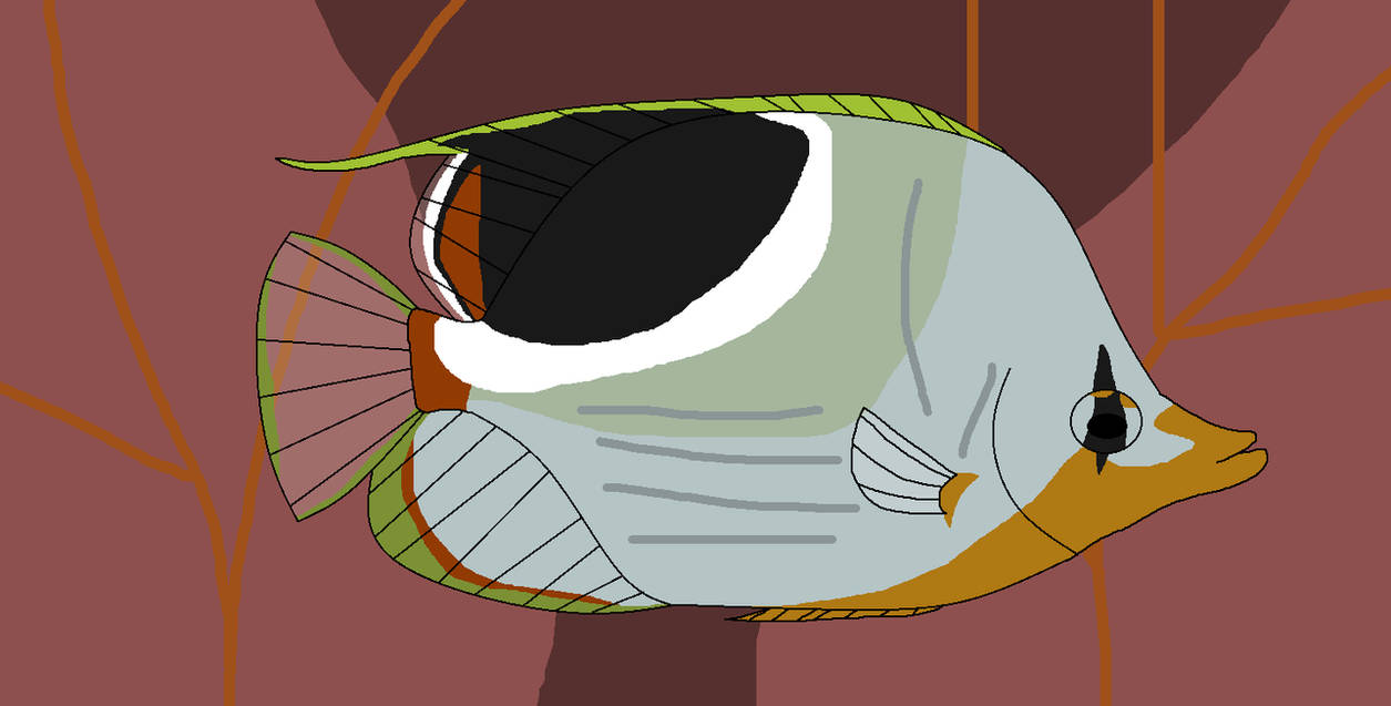 Siddle Fish Saddle Swim by WildandNatureFan on DeviantArt