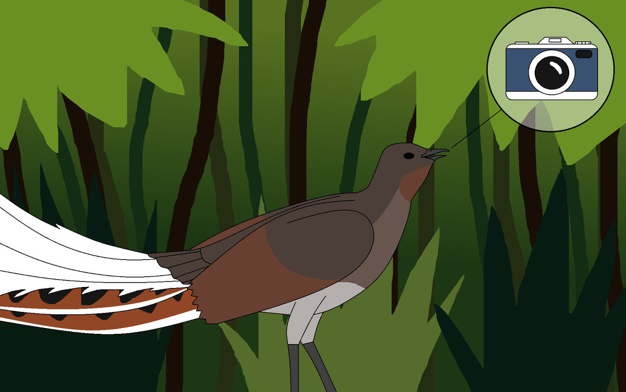 Deviantart Nature Call Snapshot Call by WildandNatureFan on DeviantArt