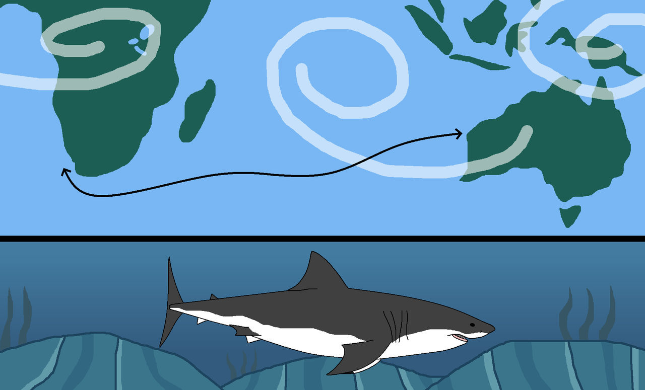 Kwaheri and G'Day by WildandNatureFan on DeviantArt