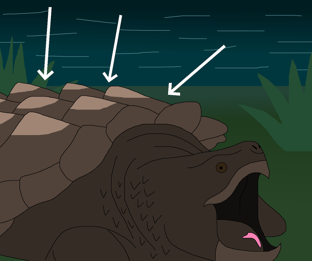 Spikey Shell Turtles Spiky Shell by WildandNatureFan on DeviantArt