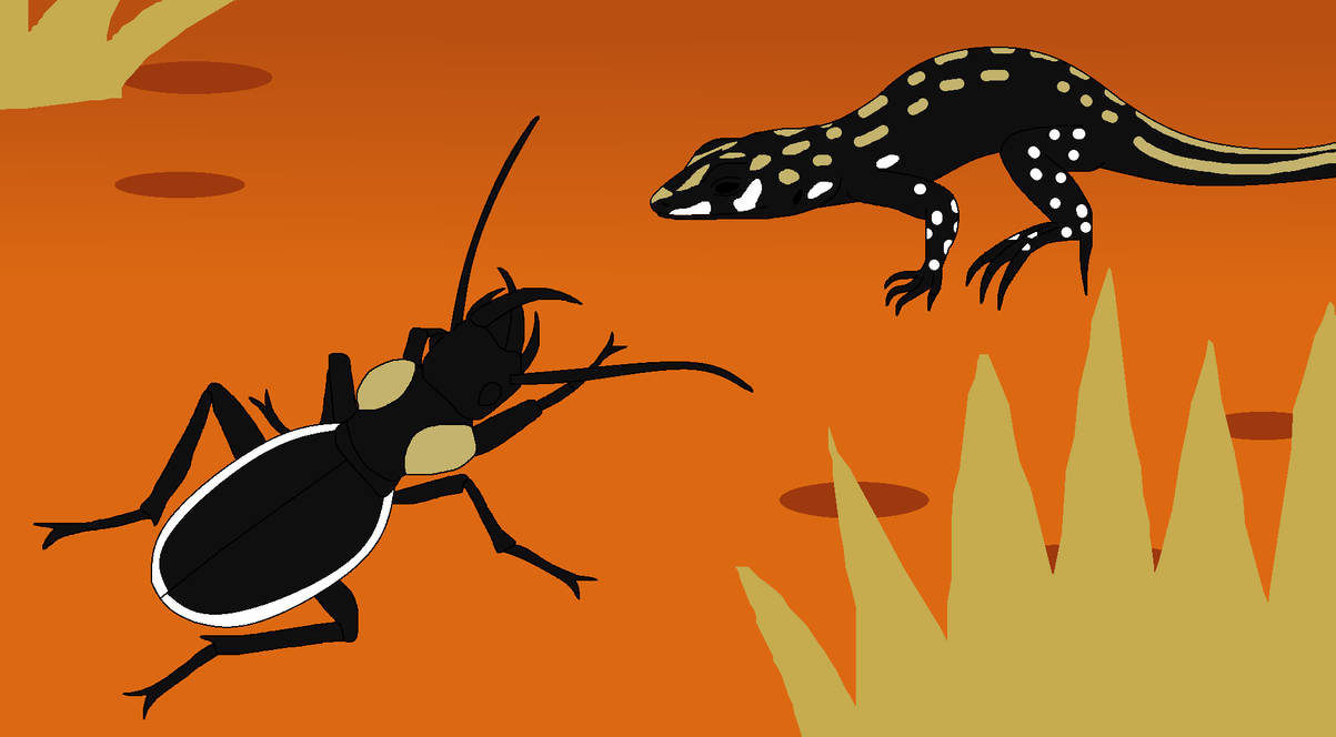 Buggy Patterns by WildandNatureFan on DeviantArt