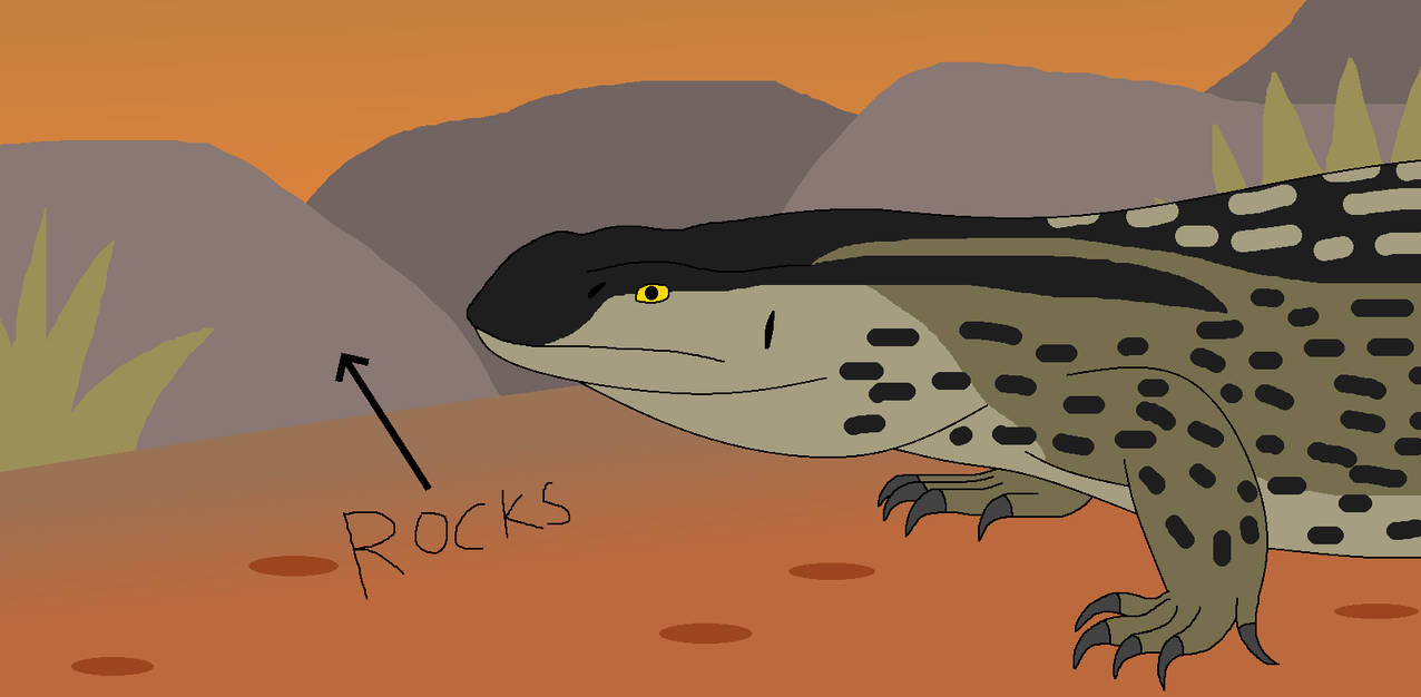 Crawling on Rocks by WildandNatureFan on DeviantArt