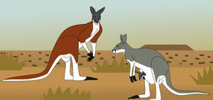 In Name Only Hoppers