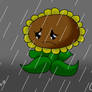 a sad sunflower