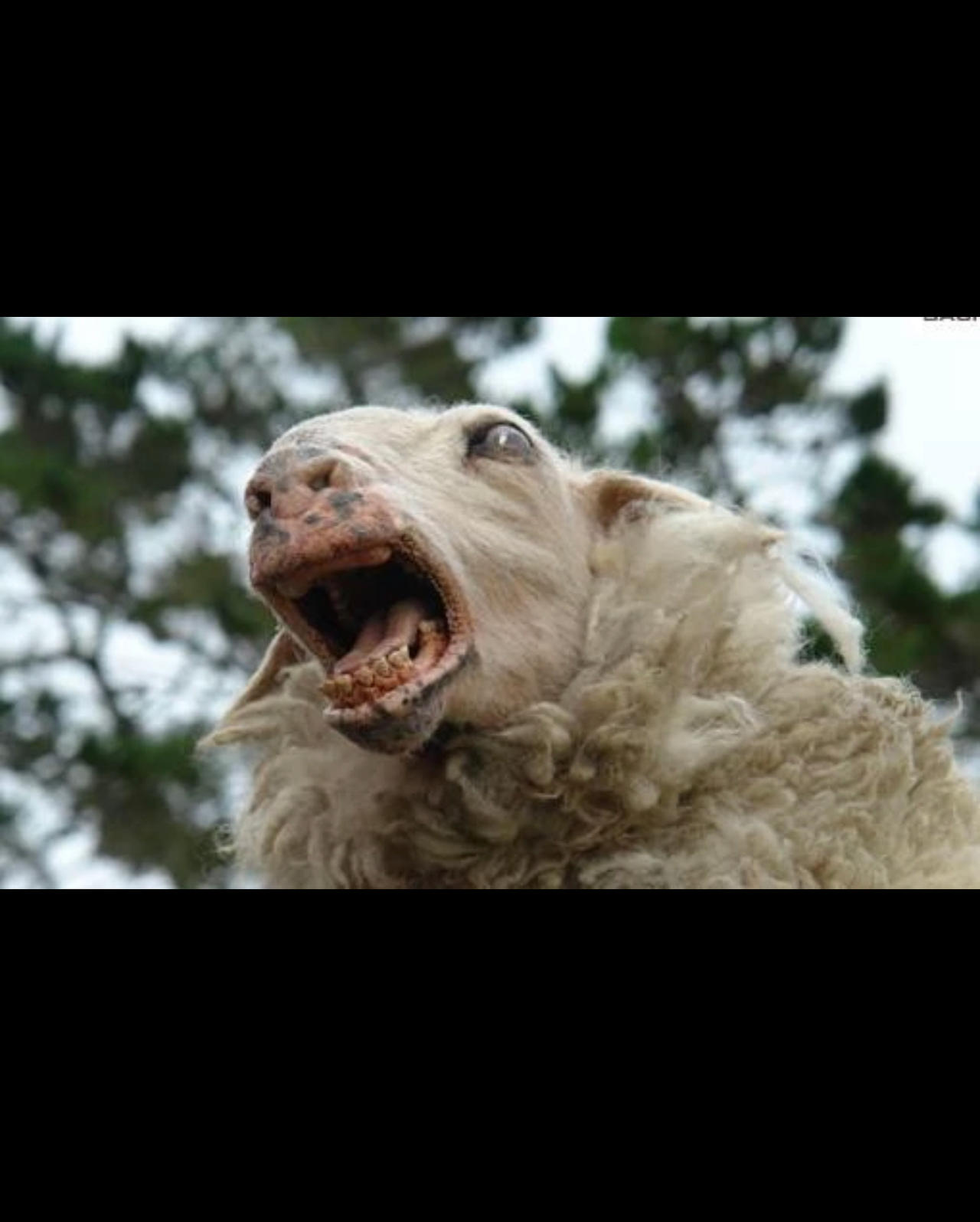 Scp idea by scpvsjojo on DeviantArt