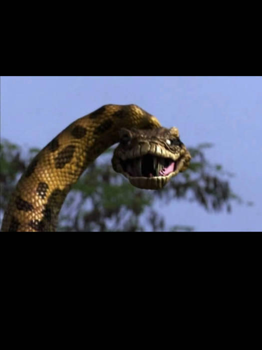 Scp Gecko Scp idea by scpvsjojo on DeviantArt