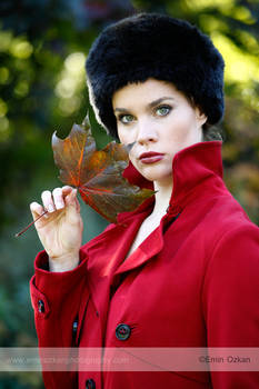 autumn portrait iv