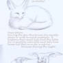 Char.profile: Sleepy fennec