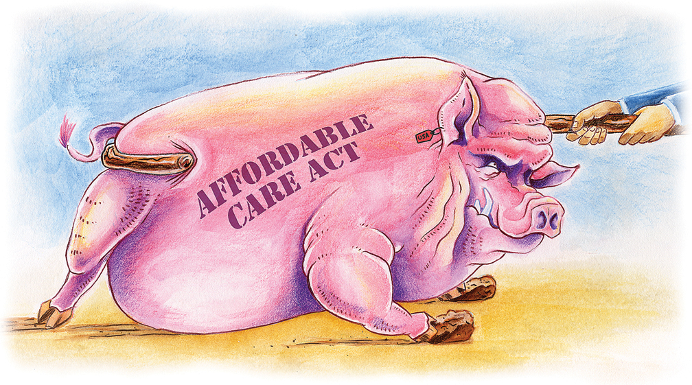 Affordable Care Pig