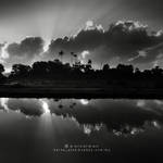a new morning has come by warnaiman