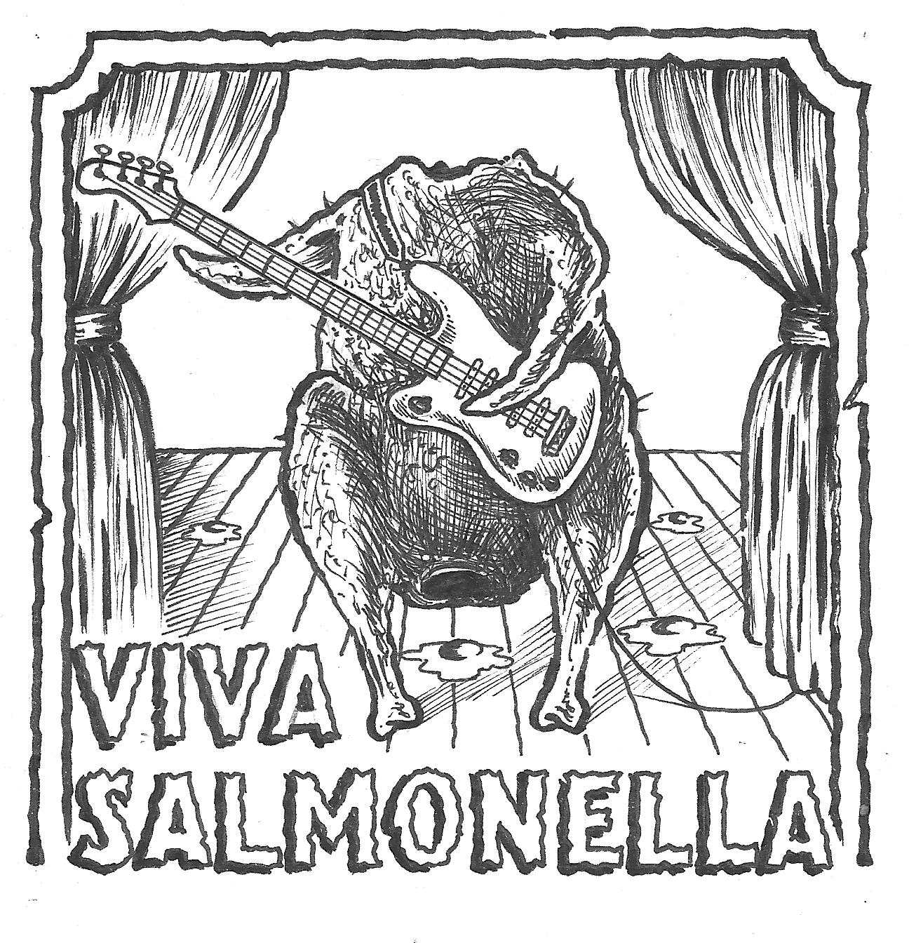 viva salmonella