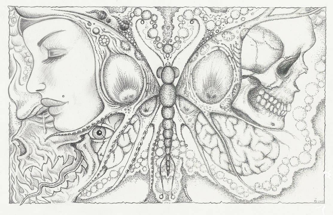 butterfly effect by offermoord butterfly effect by offermoord