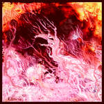 Phoenix Forest by offermoord