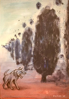 Bark Trees