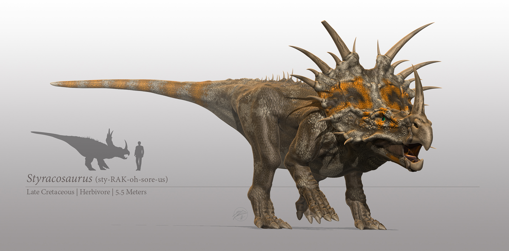 Styracosaurus