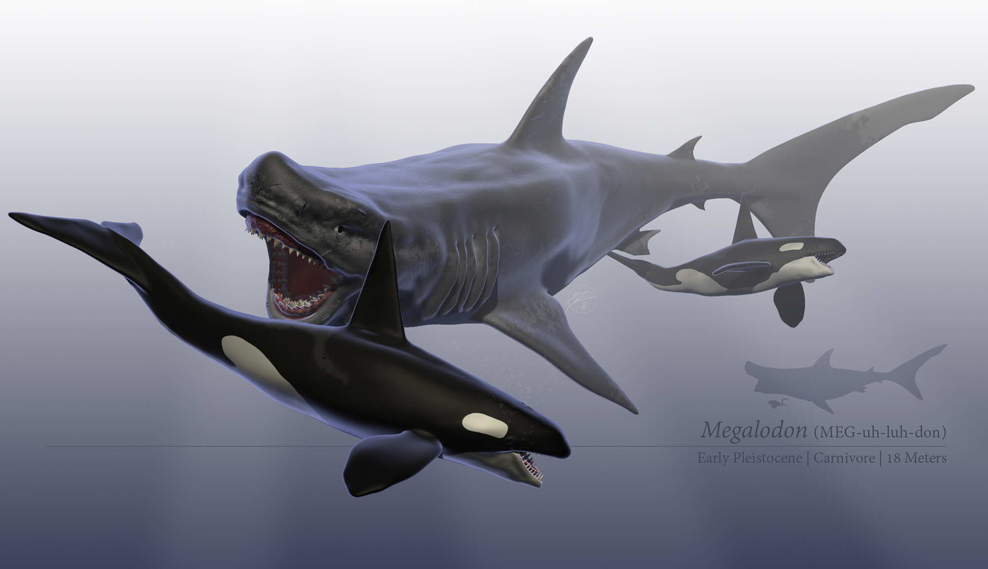 Megalodon by sdavis75