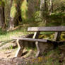 Woodland Seat