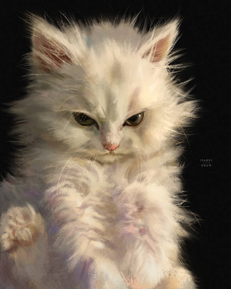 Angry and Cute Cat by aiartandlove on DeviantArt