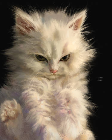 Cat pfp by whiskedog on DeviantArt