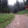 road to the cabin