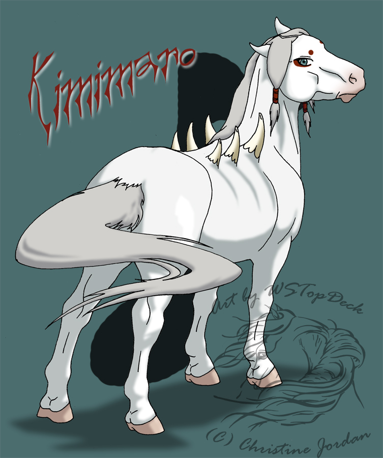Kimimaro-pony