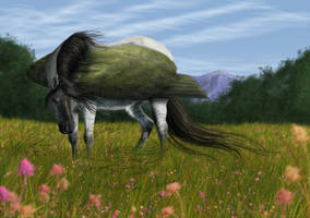 Commission: A Gentle Breeze