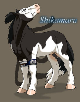 Shikamaru-pony