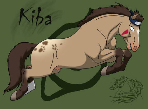 Kiba-pony