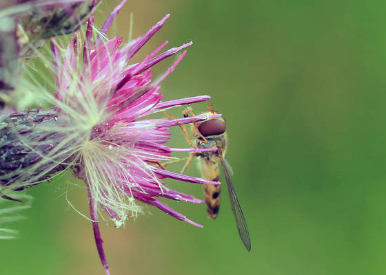 careful landing