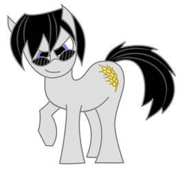 GreyScale OC Pony