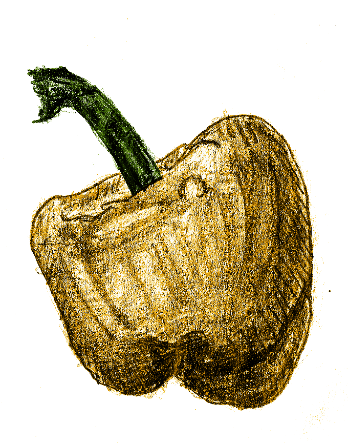 [D41] Yellow Bell Pepper