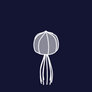Daily59 - Jellyfish