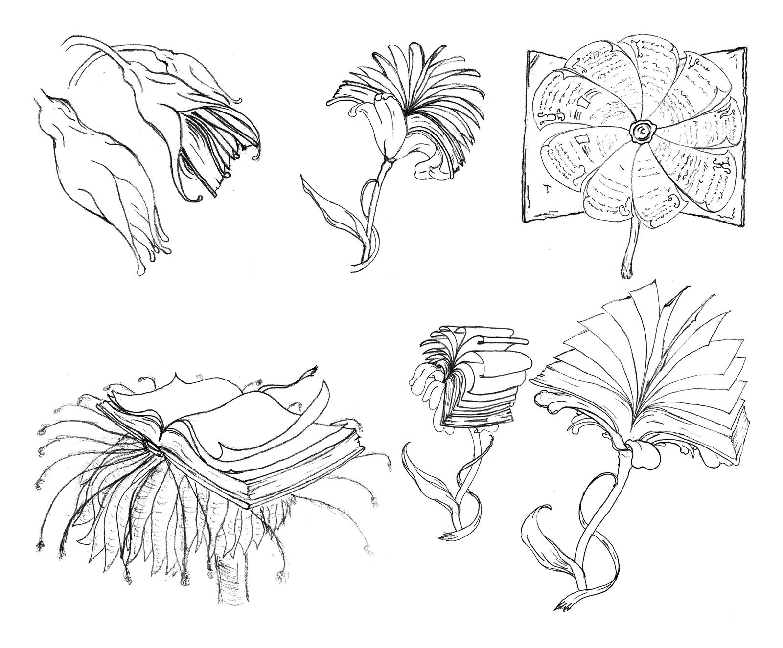 Bookified Flowers sketches