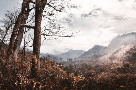 Fall Mountains