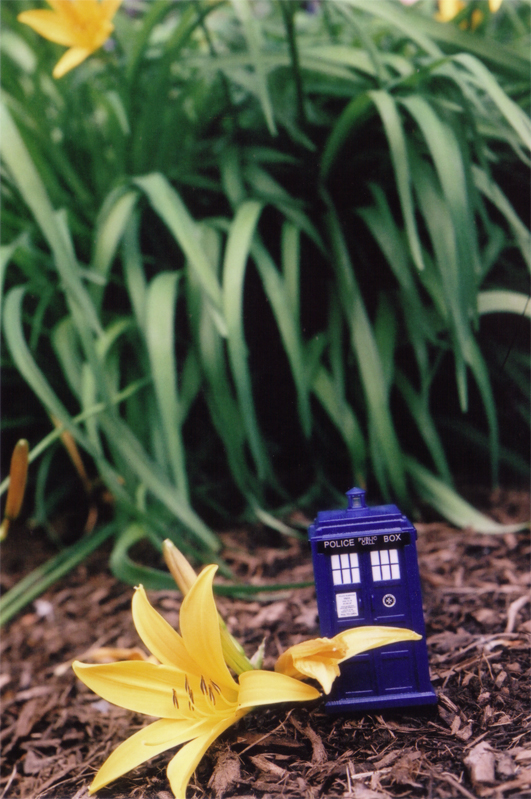 Yellow Flower Tardis