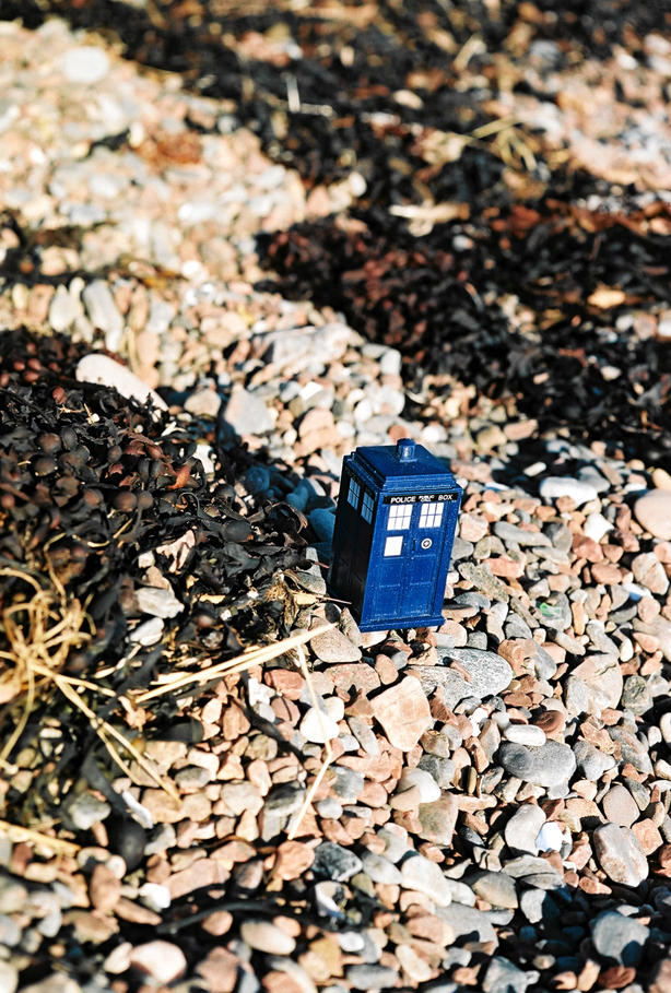 Seaweed Tardis