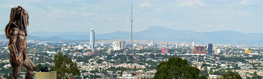 Predator In guadalajara