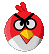 red angry bird