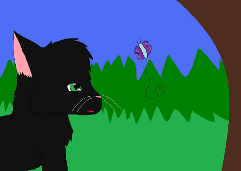 Hollyleaf sees a Butterfly