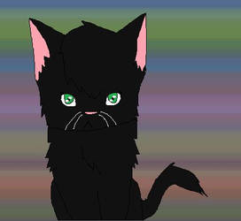 Hollyleaf