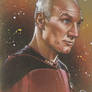Captain Picard: Patrick Stewart Star Trek Portrait