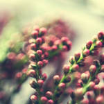 Reminiscent II by Substitut
