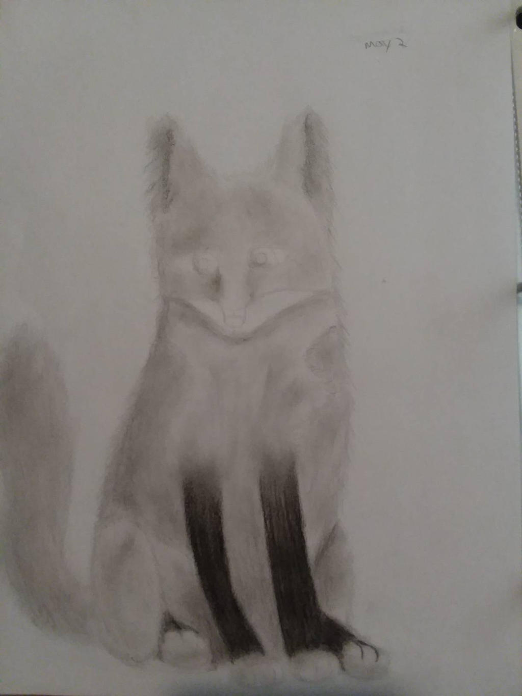 charcoal fox (old)