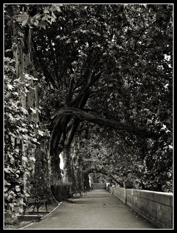 Promenade II by Csipesz on DeviantArt